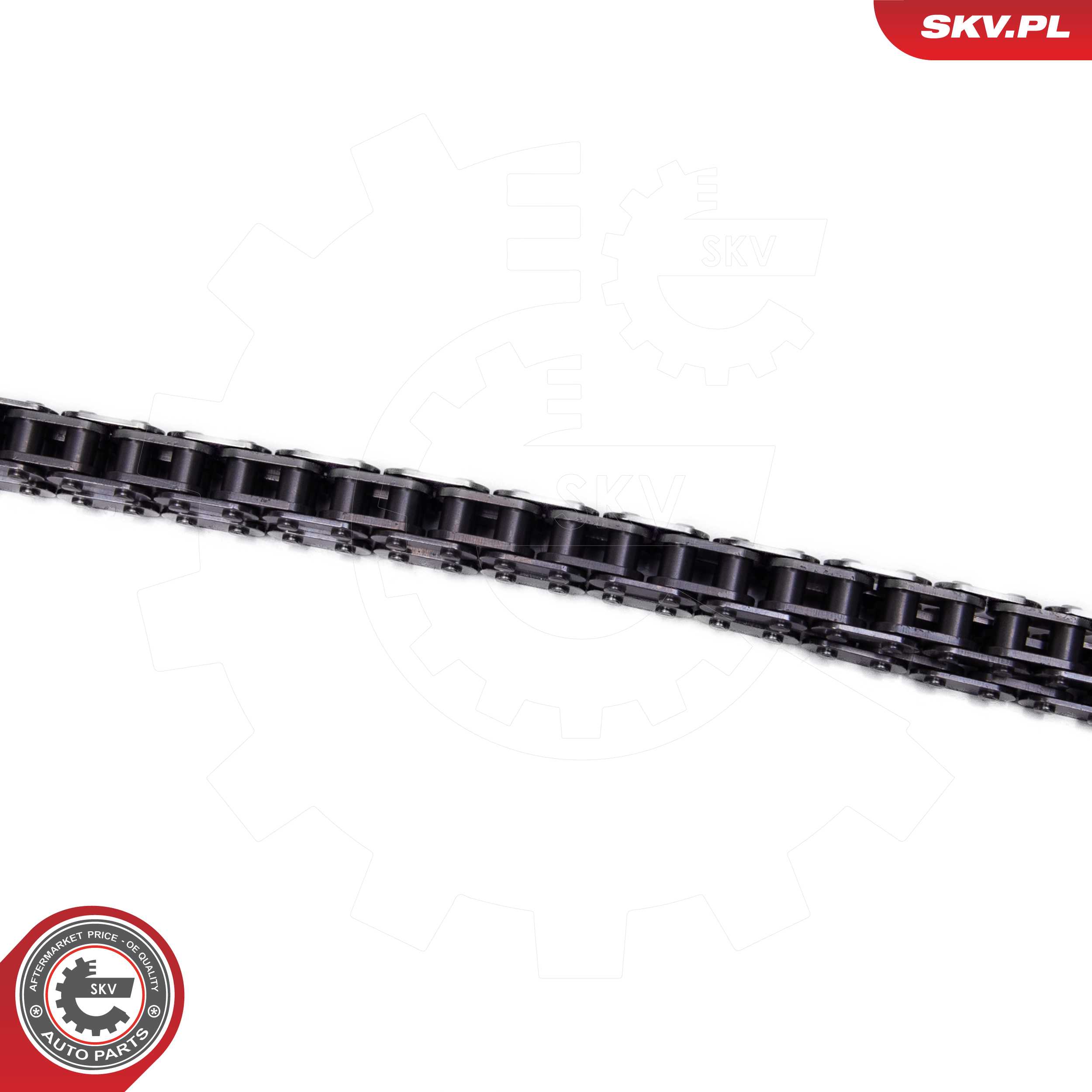 Timing Chain Kit