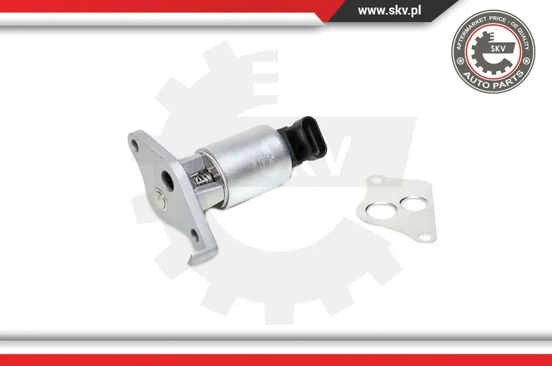 EGR Valve