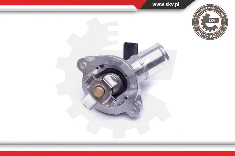 Thermostat, coolant