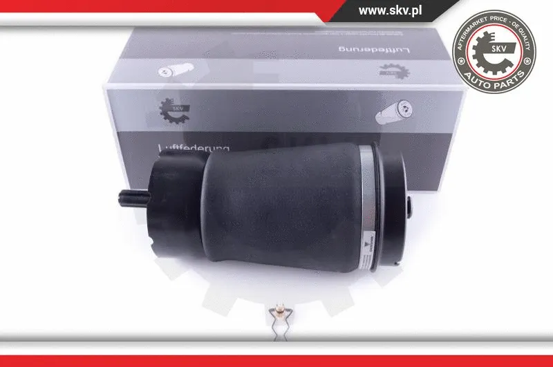Air Spring, suspension (58SKV013)