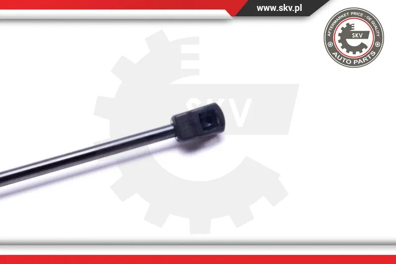 Gas Spring, boot/cargo area