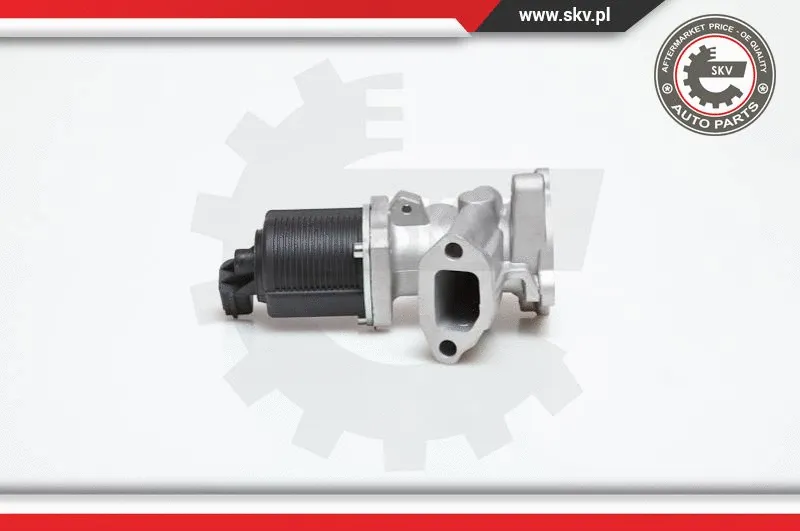EGR Valve (14SKV031)