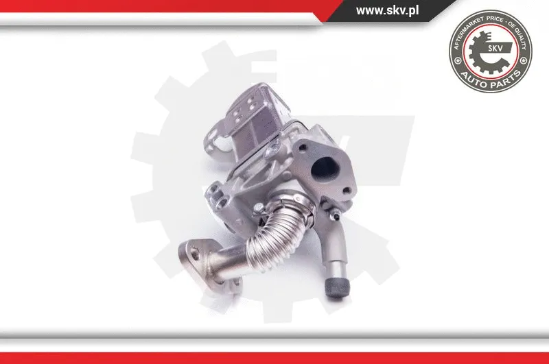 EGR Valve (14SKV135)