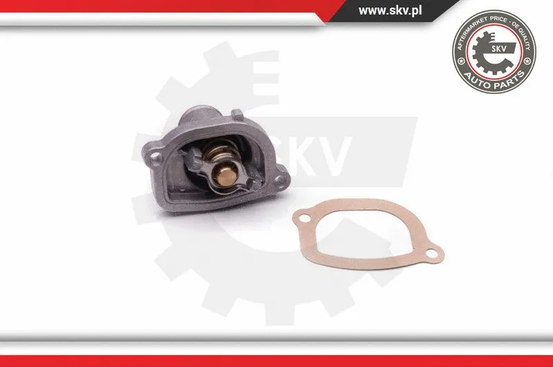 Thermostat, coolant