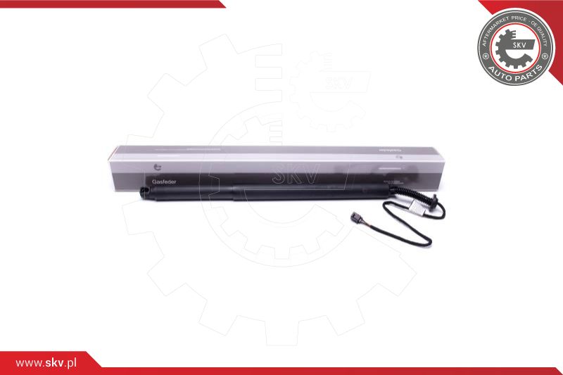 Electric Motor, tailgate (52SKV911)