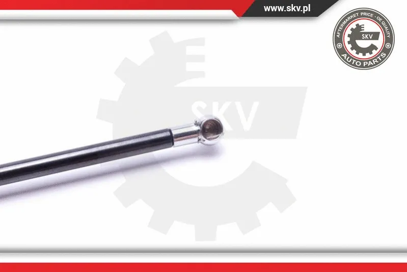 Gas Spring, boot/cargo area