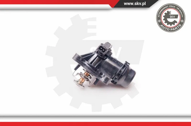Thermostat, coolant