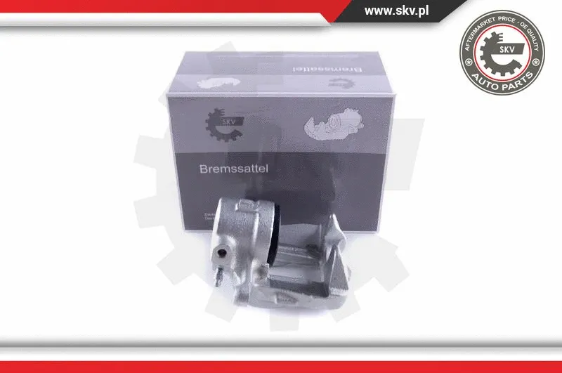 Brake Caliper (55SKV041)