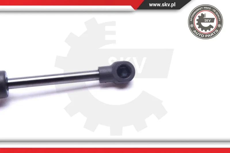 Gas Spring, boot/cargo area