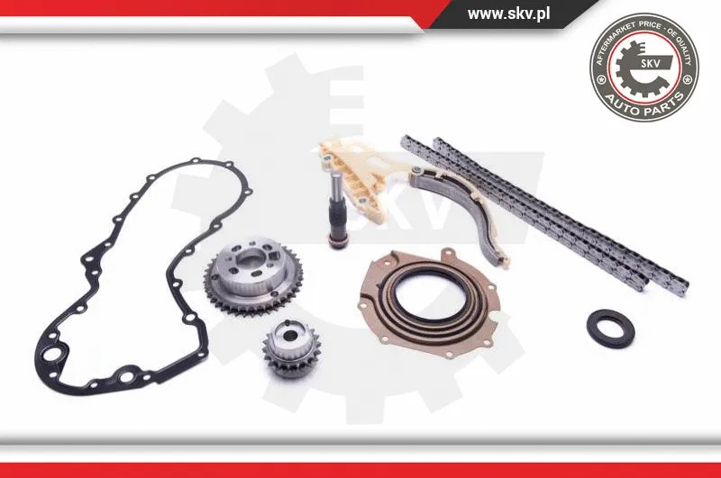 Timing Chain Kit