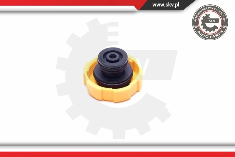 Cap, coolant tank