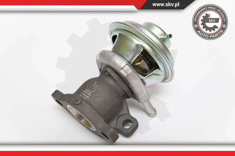 EGR Valve (14SKV062)