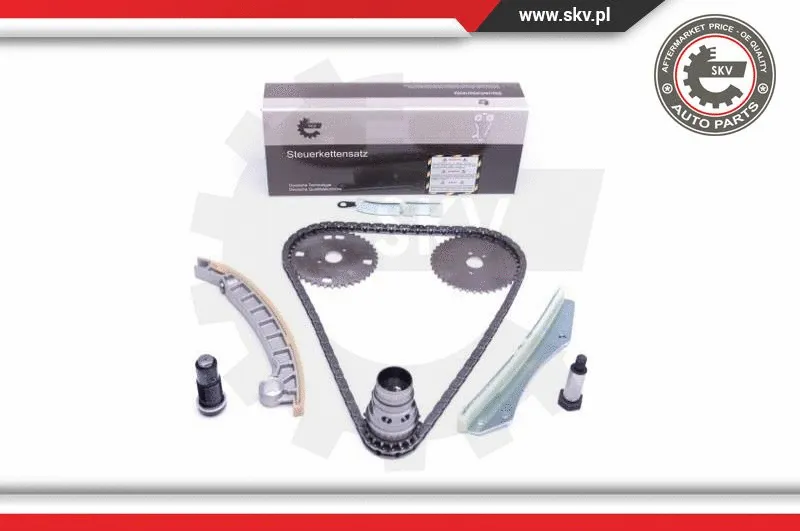 Timing Chain Kit (21SKV141)