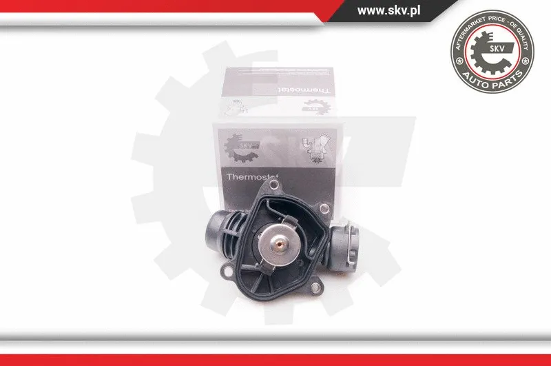 Thermostat, coolant
