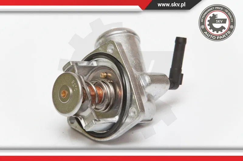 Thermostat, coolant