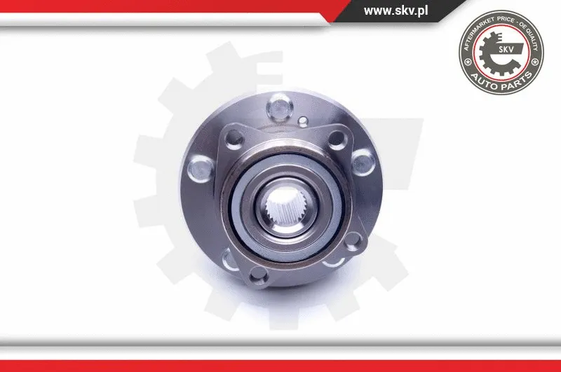 Wheel Bearing Kit