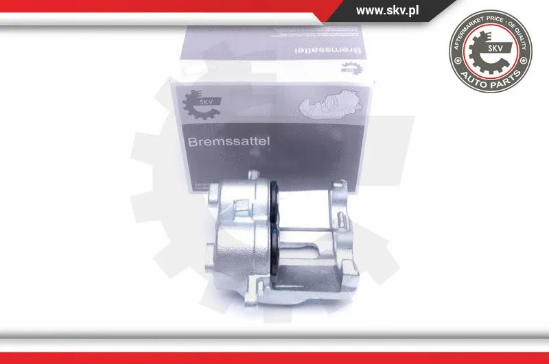 Brake Caliper (42SKV931)