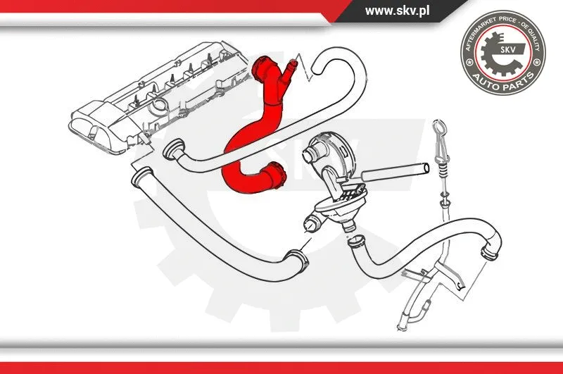 Hose, crankcase ventilation