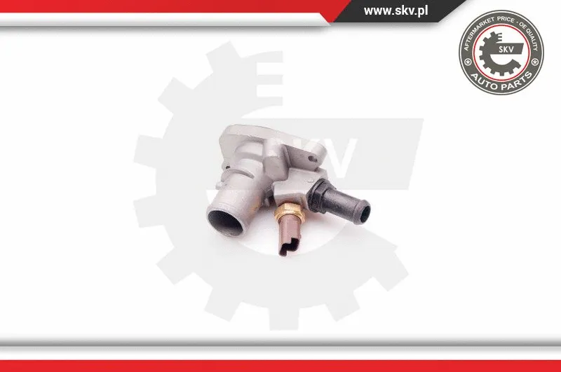 Thermostat, coolant
