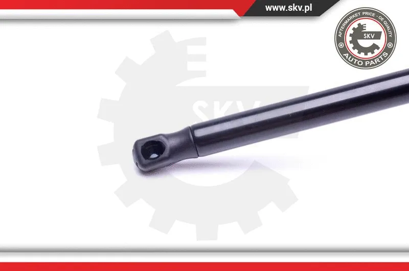 Gas Spring, boot/cargo area