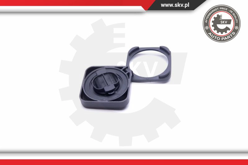 Sealing Cap, oil filler neck