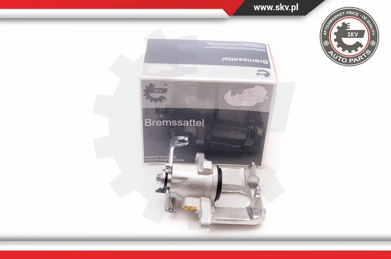 Brake Caliper (34SKV003)