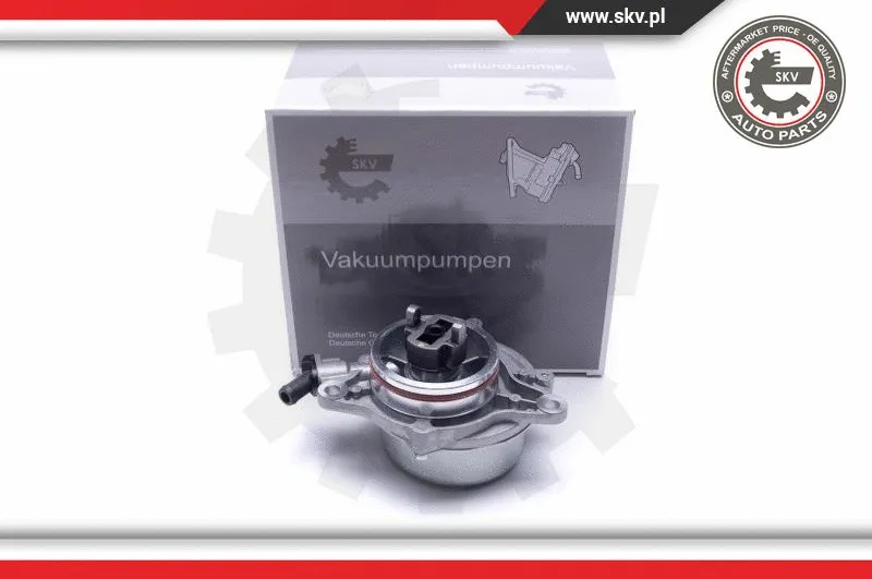 Vacuum Pump, braking system (18SKV046)