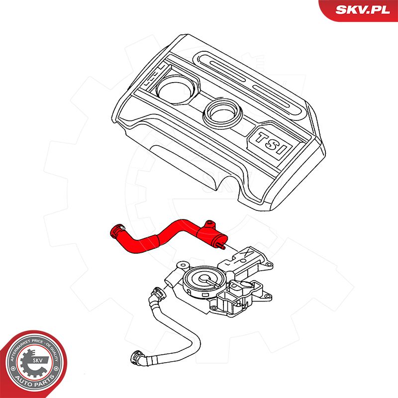 Hose, crankcase ventilation