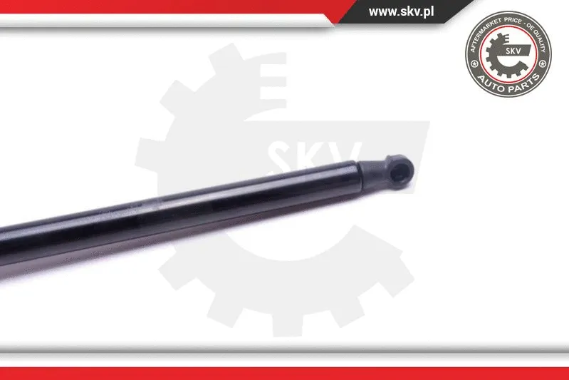 Gas Spring, boot/cargo area