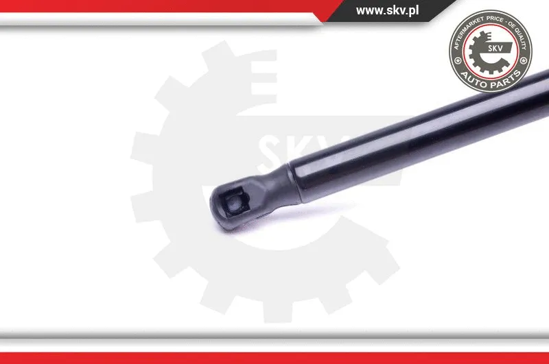 Gas Spring, boot/cargo area
