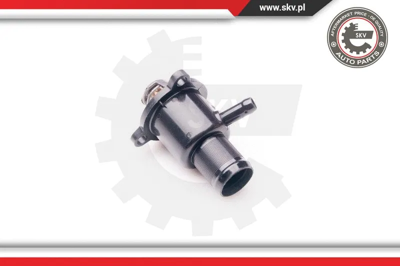 Thermostat, coolant