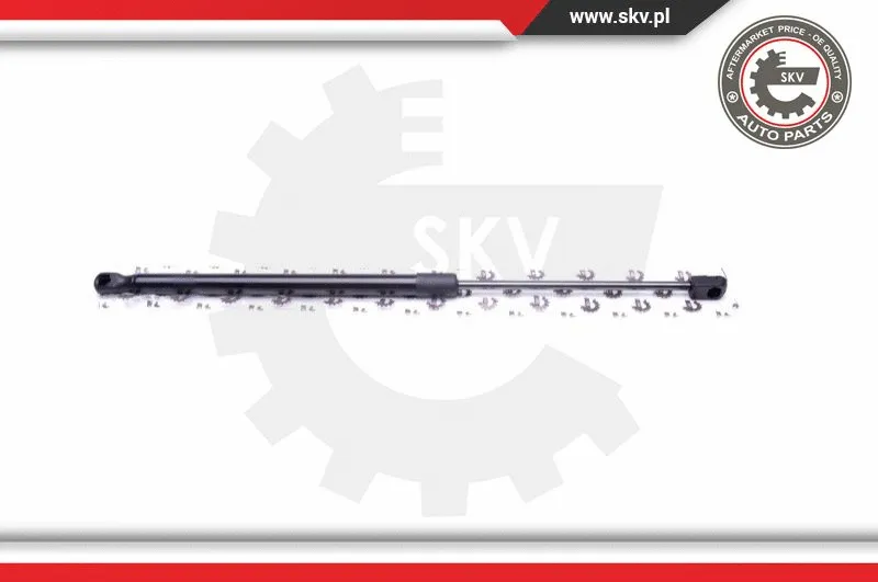 Gas Spring, boot/cargo area