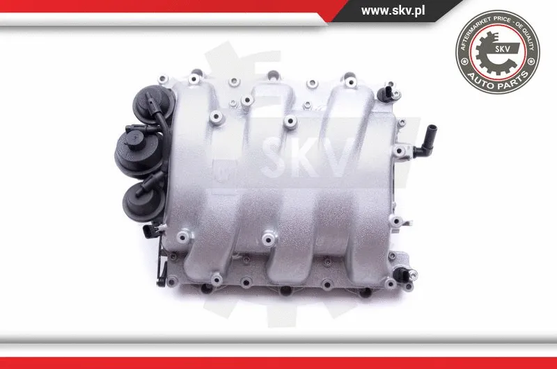 Intake Manifold Module