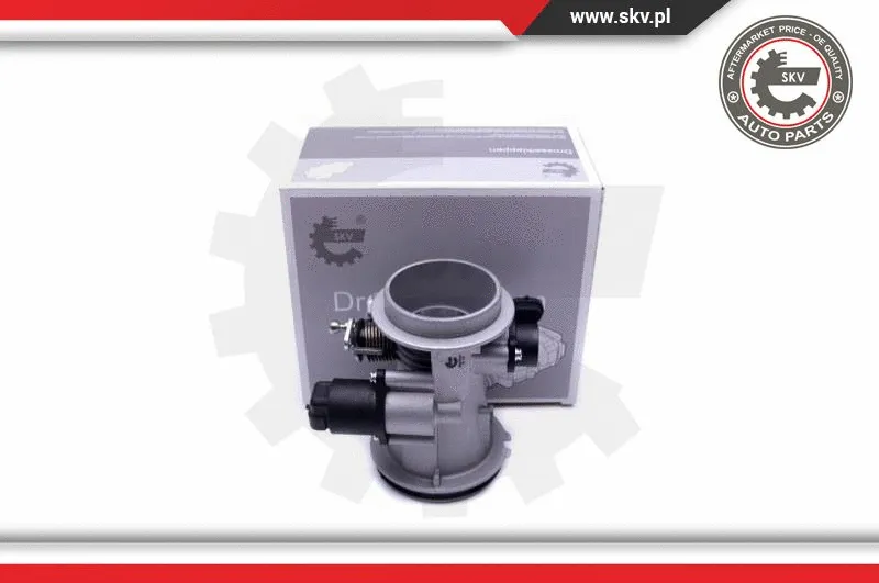 Throttle Body (12SKV101)