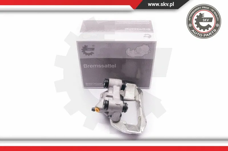 Brake Caliper (23SKV481)