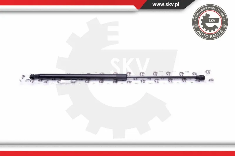Gas Spring, boot/cargo area