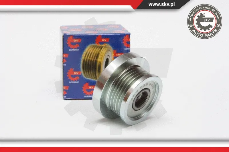 Alternator Freewheel Clutch (11SKV048)
