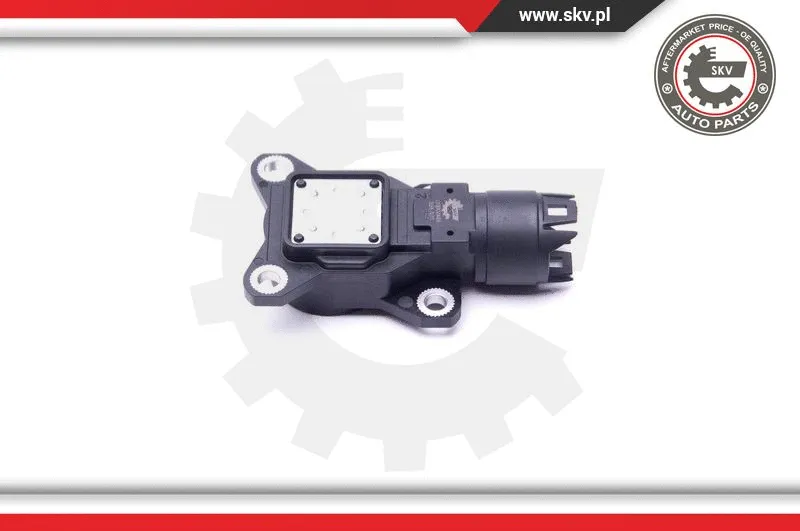 Sensor, eccentric shaft (variable valve lift)