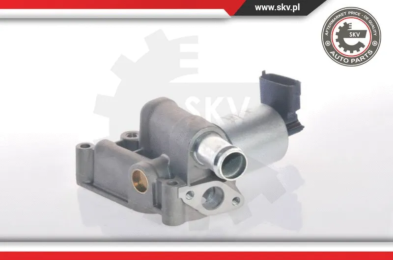 EGR Valve