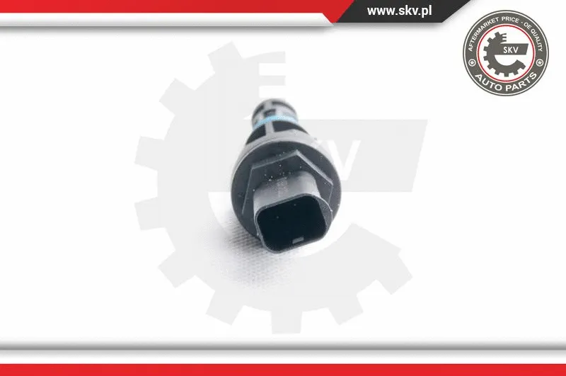 Sensor, speed (17SKV363)