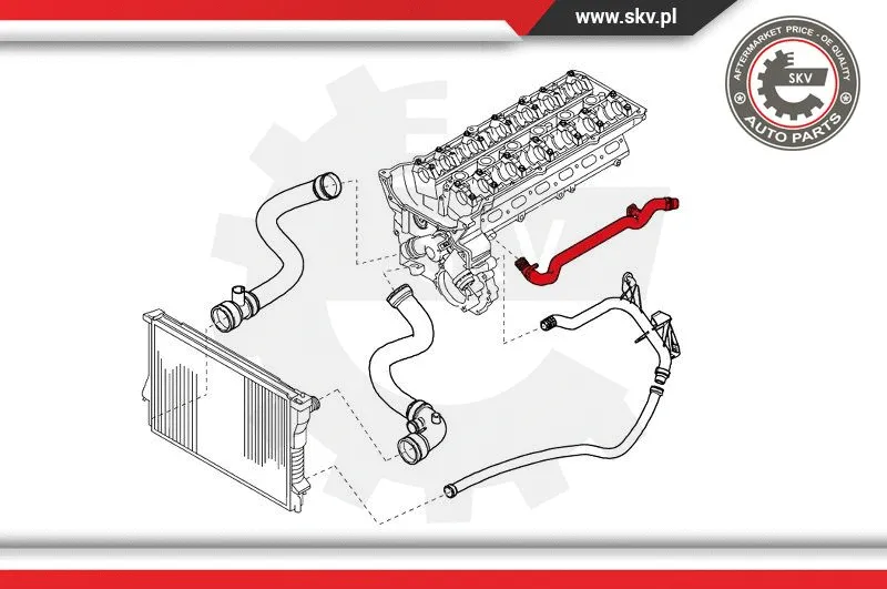 Radiator Hose