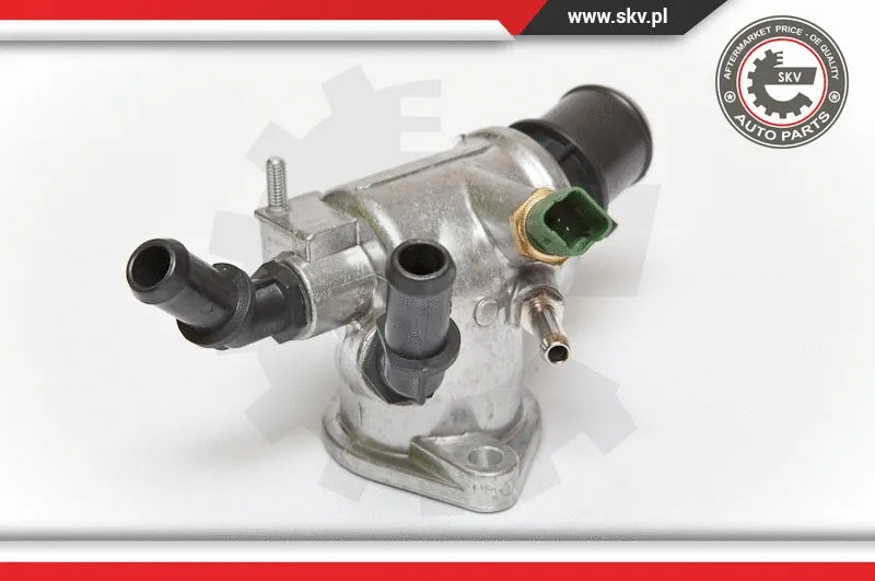 Thermostat, coolant