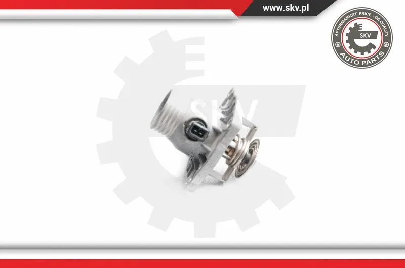 Thermostat, coolant