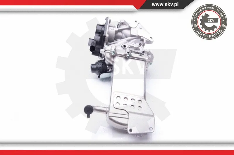EGR Valve
