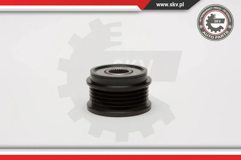 Alternator Freewheel Clutch