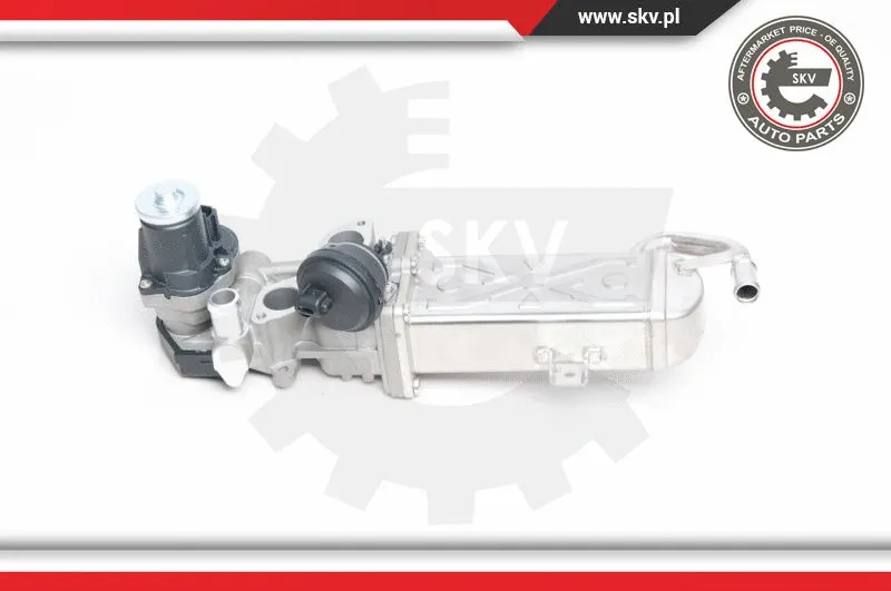 EGR Valve