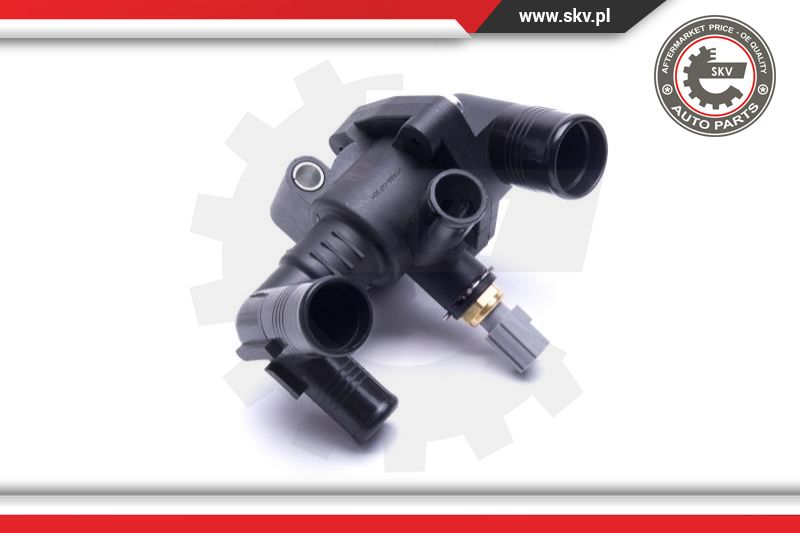 Thermostat, coolant