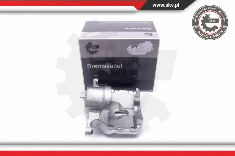 Brake Caliper (55SKV981)
