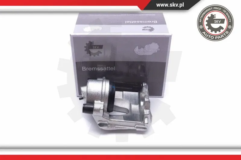 Brake Caliper (55SKV862)