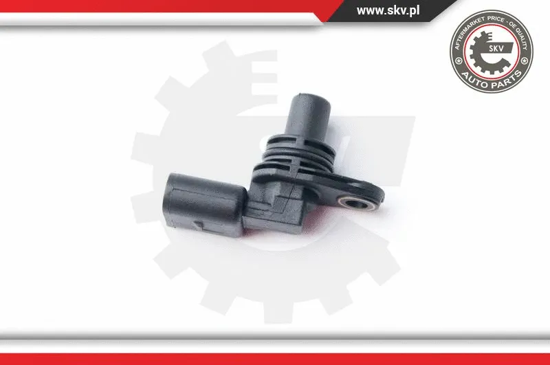 Sensor, camshaft position (17SKV237)